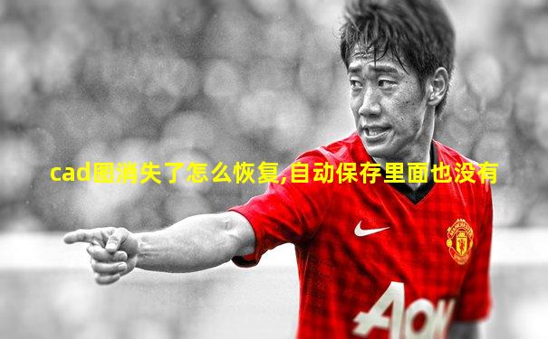 cad图消失了怎么恢复,自动保存里面也没有