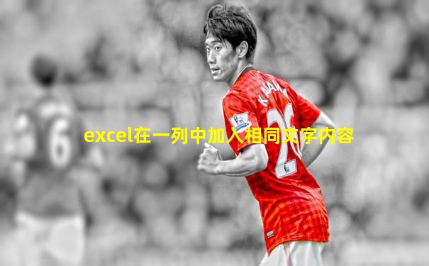 excel在一列中加入相同文字内容