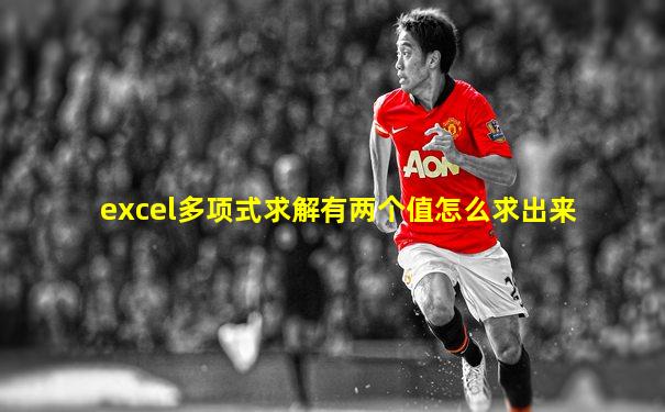 excel多项式求解有两个值怎么求出来