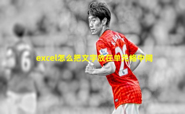 excel怎么把文字放在单元格中间