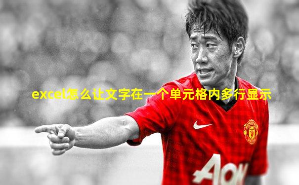 excel怎么让文字在一个单元格内多行显示