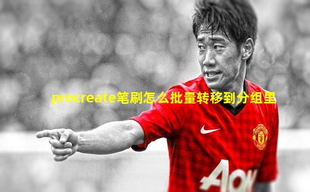 procreate笔刷怎么批量转移到分组里