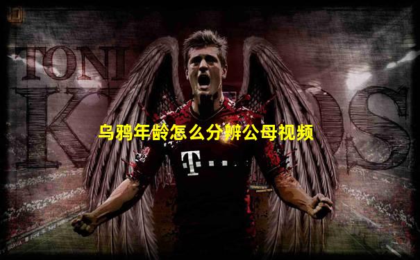 乌鸦年龄怎么分辨公母视频