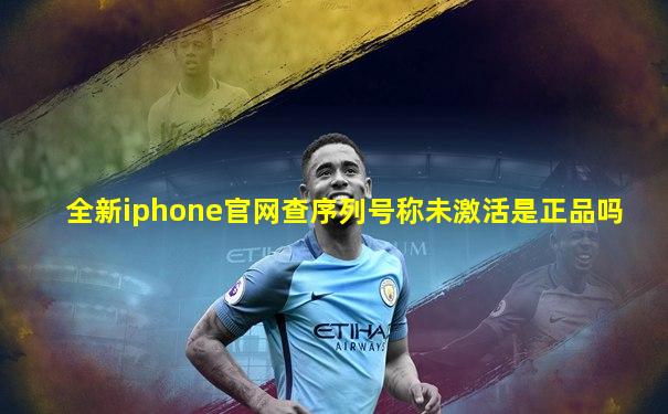 全新iphone官网查序列号称未激活是正品吗