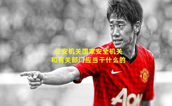 公安机关国家安全机关和有关部门应当干什么的