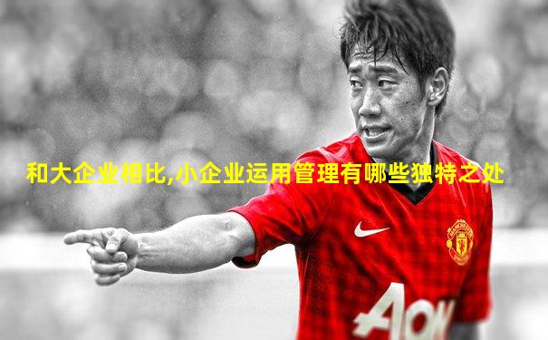 和大企业相比,小企业运用管理有哪些独特之处