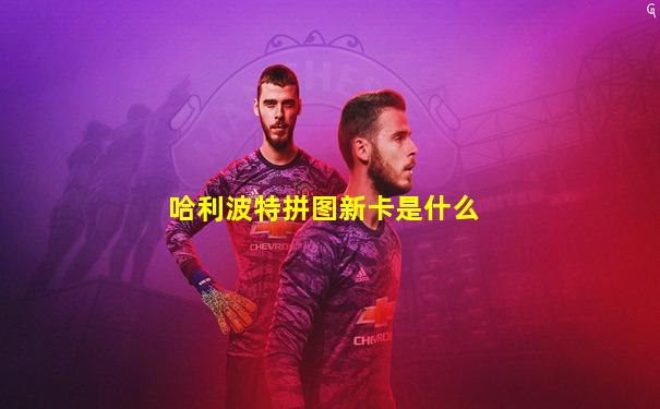 哈利波特拼图新卡是什么