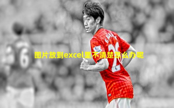 图片放到excel里不清楚怎么办呢