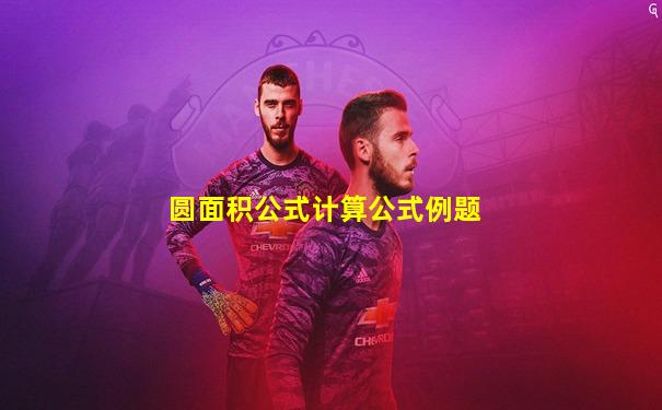 圆面积公式计算公式例题