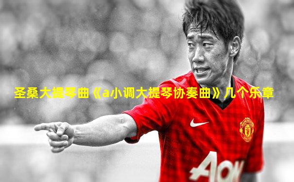 圣桑大提琴曲《a小调大提琴协奏曲》几个乐章