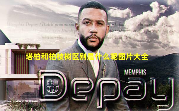 塔柏和柏枝树区别是什么呢图片大全