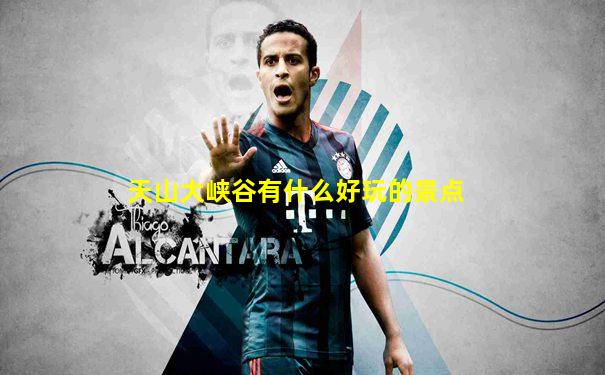 天山大峡谷有什么好玩的景点