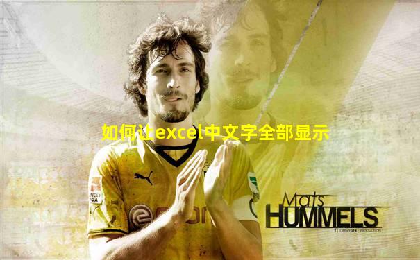 如何让excel中文字全部显示