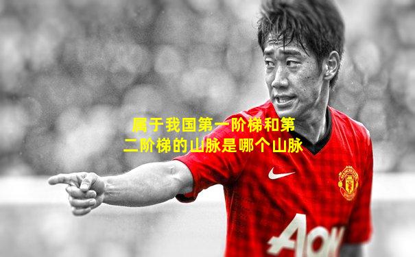 属于我国第一阶梯和第二阶梯的山脉是哪个山脉