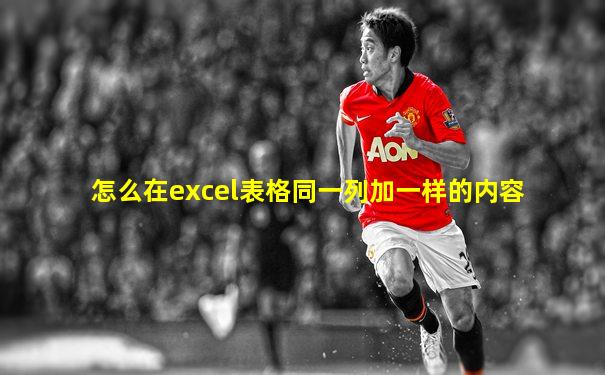 怎么在excel表格同一列加一样的内容