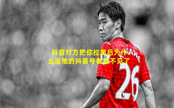 抖音对方把你拉黑后为什么连他的抖音号都看不见了