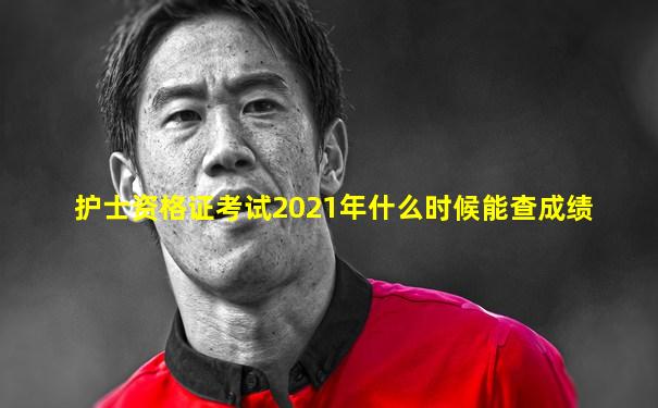 护士资格证考试2021年什么时候能查成绩