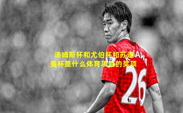 汤姆斯杯和尤伯杯和苏迪曼杯是什么体育项目的奖项