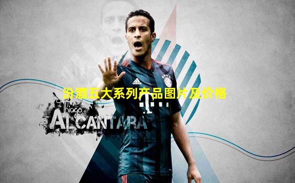 汾酒五大系列产品图片及价格