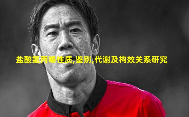 盐酸氯丙嗪性质,鉴别,代谢及构效关系研究