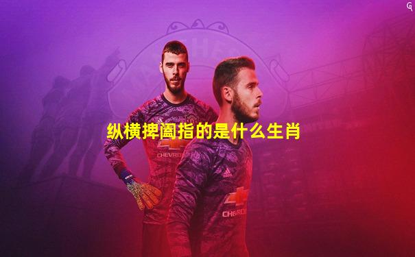 纵横捭阖指的是什么生肖