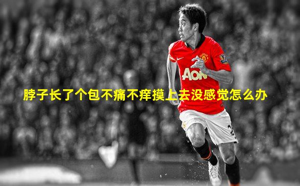 脖子长了个包不痛不痒摸上去没感觉怎么办