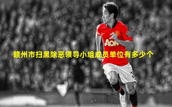赣州市扫黑除恶领导小组成员单位有多少个