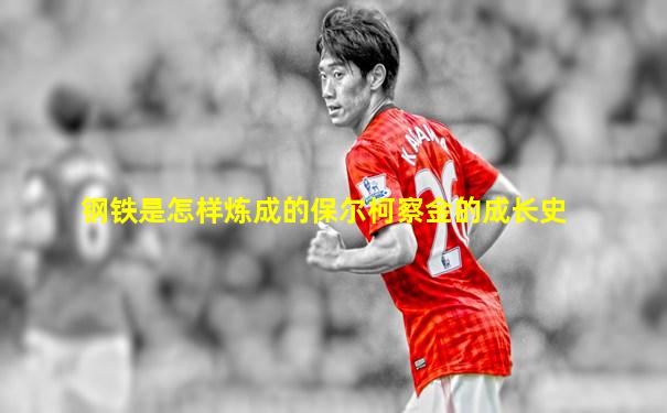 钢铁是怎样炼成的保尔柯察金的成长史